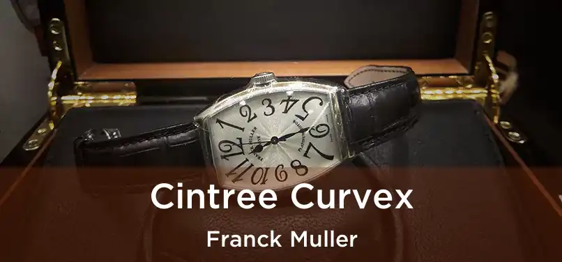  Cintree Curvex Franck Muller
